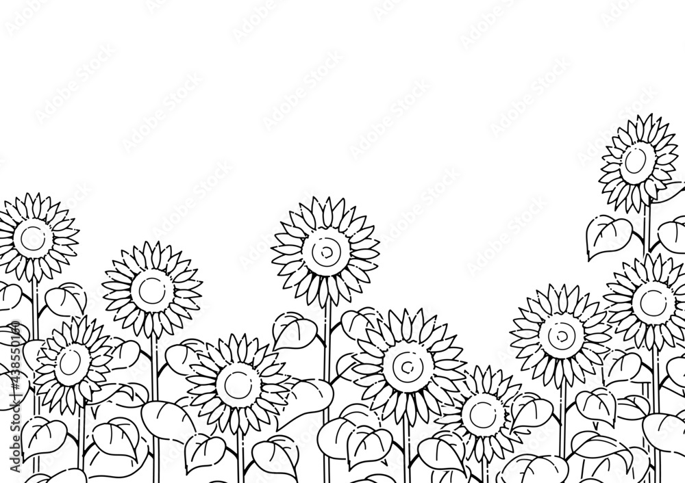 シンプルなヒマワリの線画イラスト モノクロ Stock Vector Adobe Stock シンプルなヒマワリの線画イラスト モノクロ Stock Vector Adobe Stock