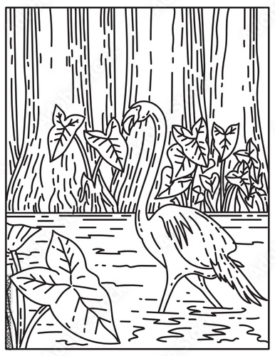 Mono line illustration of a flamingo wading in subtropical wilderness of Everglades National Park, Florida, United States of America done in retro black and white monoline line art style.