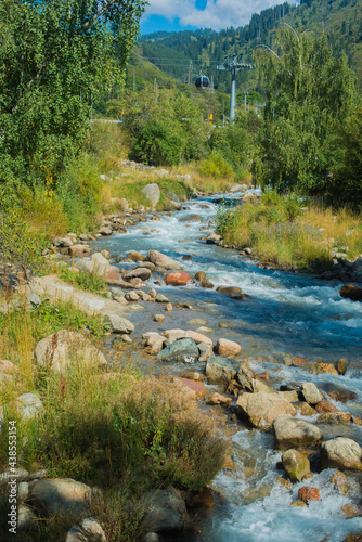 nature in the mountains mountain river in summer. High quality photo