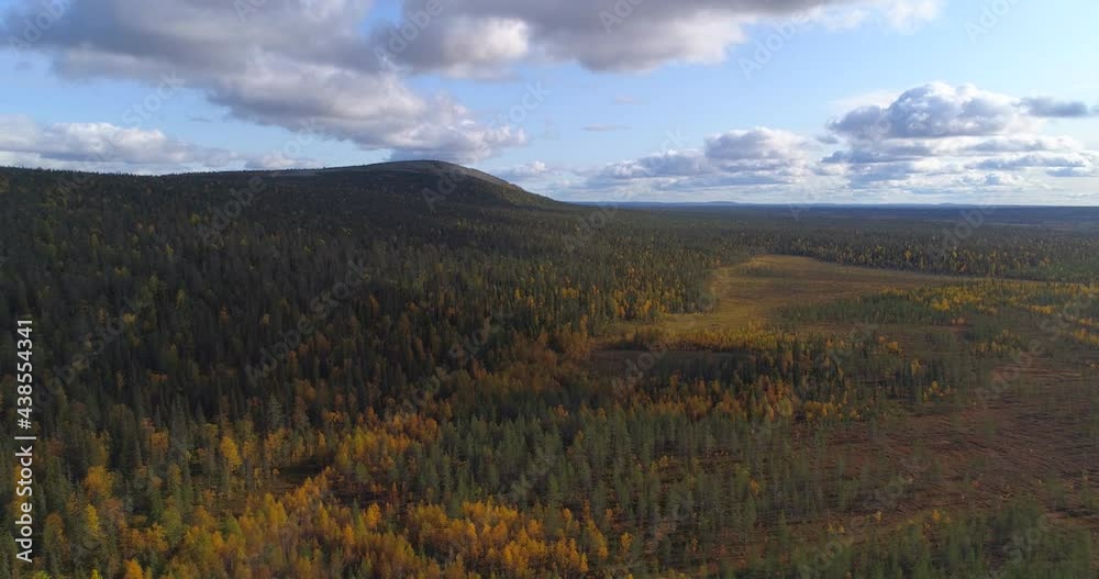 Aerial view over foliage forest and fells in sunny Lapland - tracking, drone shot Aerial view over foliage forest and fells in sunny Lapland - tracking, drone shot