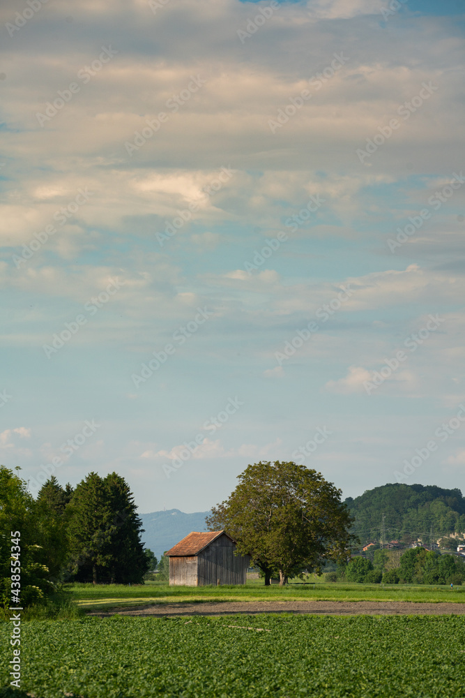 Fototapeta premium red barn and blue sky