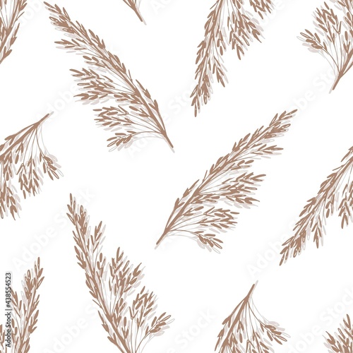 Simple calm gentle floral vector seamless pattern. Beige gray twigs of pampas grass on a white background. For prints of fabric, textile products, clothing, shirt, boho decor.