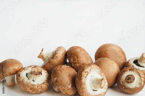 Fresh champignons, mushrooms close-up isolated on a white background with a place for an inscription. High quality photo