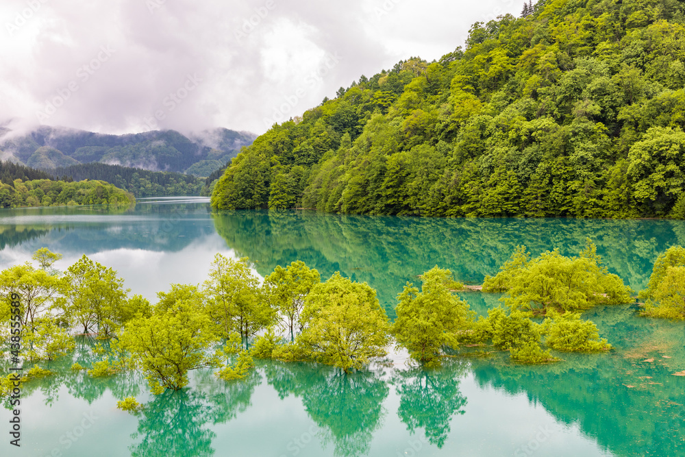 秋扇湖 水没林 秋扇湖 水没林