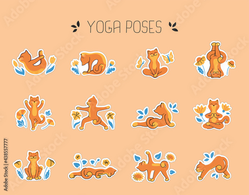 The set of stickers is good for yoga poses. The collection of funny cats