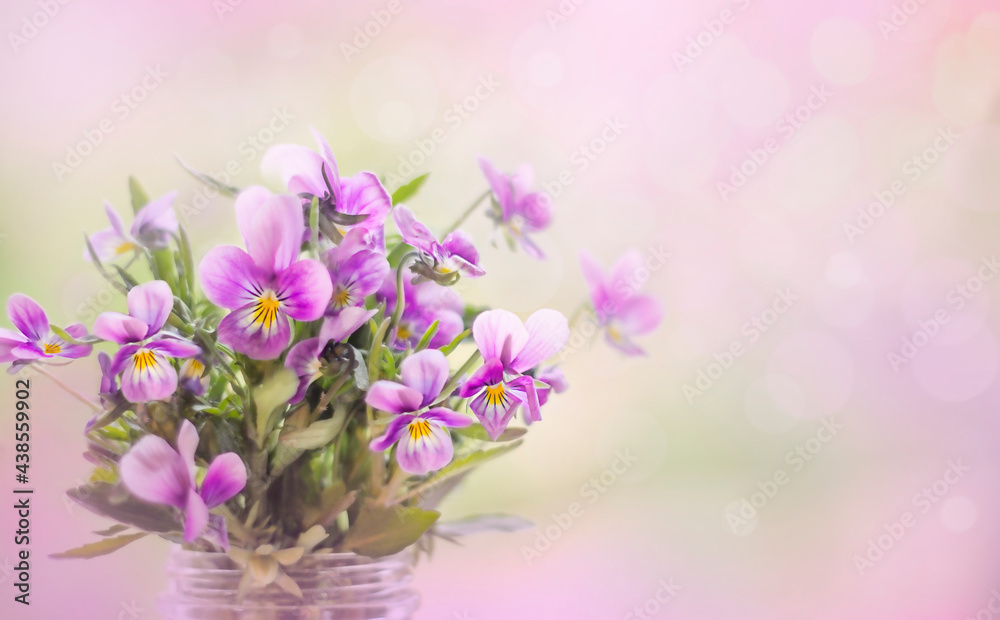 Bouquet of purple flowers on a pink background close-up. Soft selective focus