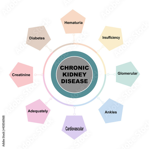 Diagram concept with Chronic Kidney Disease text and keywords. EPS 10 isolated on white background