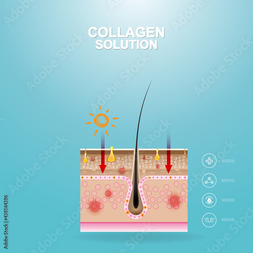 Repair Skin Layer Collagen or Serum Vector Background Concept for Skincare Cosmetic Products.