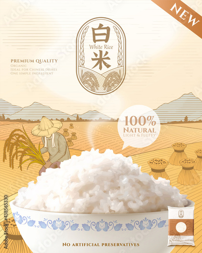 Template of rice product ad