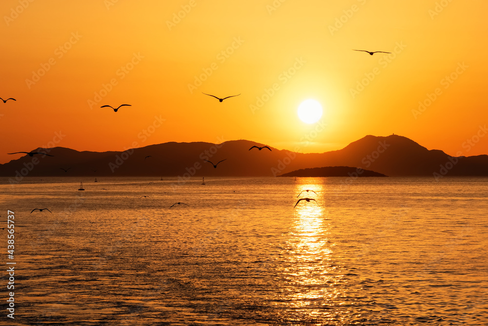 Beautiful golden sunset over the sea and silhouettes of seagulls, Corfu island, Greece