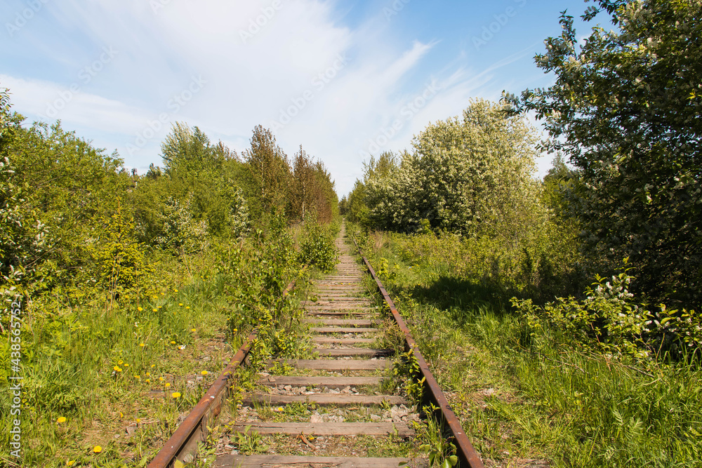 old abandoned railway in the forest.