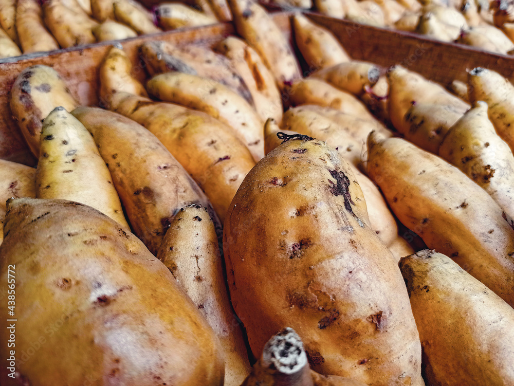 Sweet potato in traditional market Sweet potato in traditional market