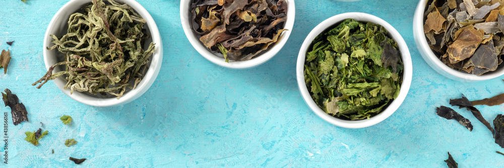 Sea vegetables panorama with a place for text or logo, shot from the top on a blue background Sea vegetables panorama with a place for text or logo, shot from the top on a blue background