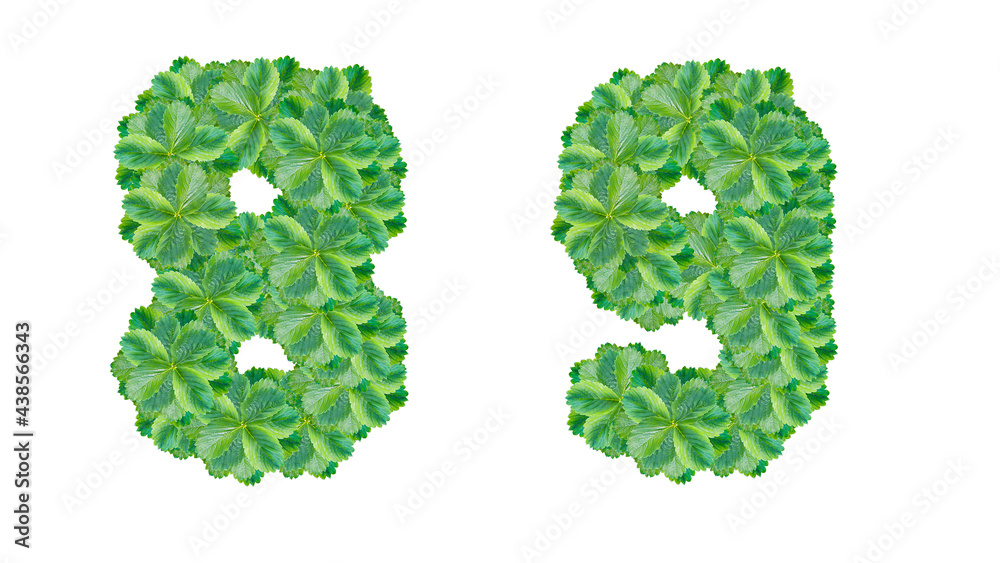 The numbers 8, 9 are made from strawberry leaves The numbers 8, 9 are made from strawberry leaves