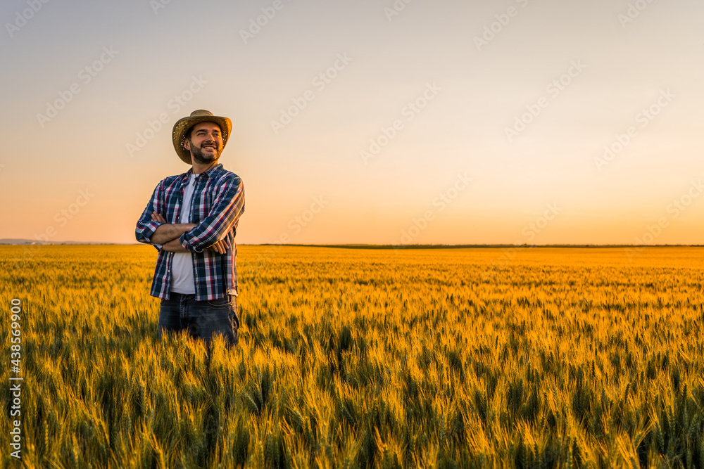 Farmer is standing in his growing wheat field. He is happy because of successful sowing. - obrazy, fototapety, plakaty 