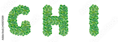 The letters G  H  I are made from strawberry leaves