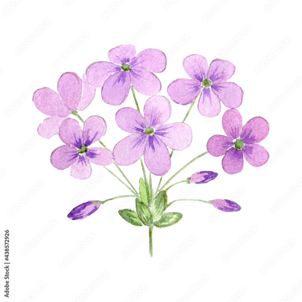 Watercolor wild flowers Watercolor wild flowers