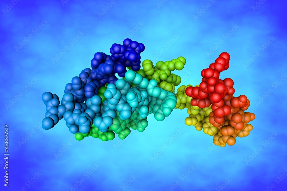Space filling molecular model of human interleukin-10 (IL-10). Rendering based on protein data bank entry 2h24. Rainbow coloring from N to C. Scientific background. 3d illustration
