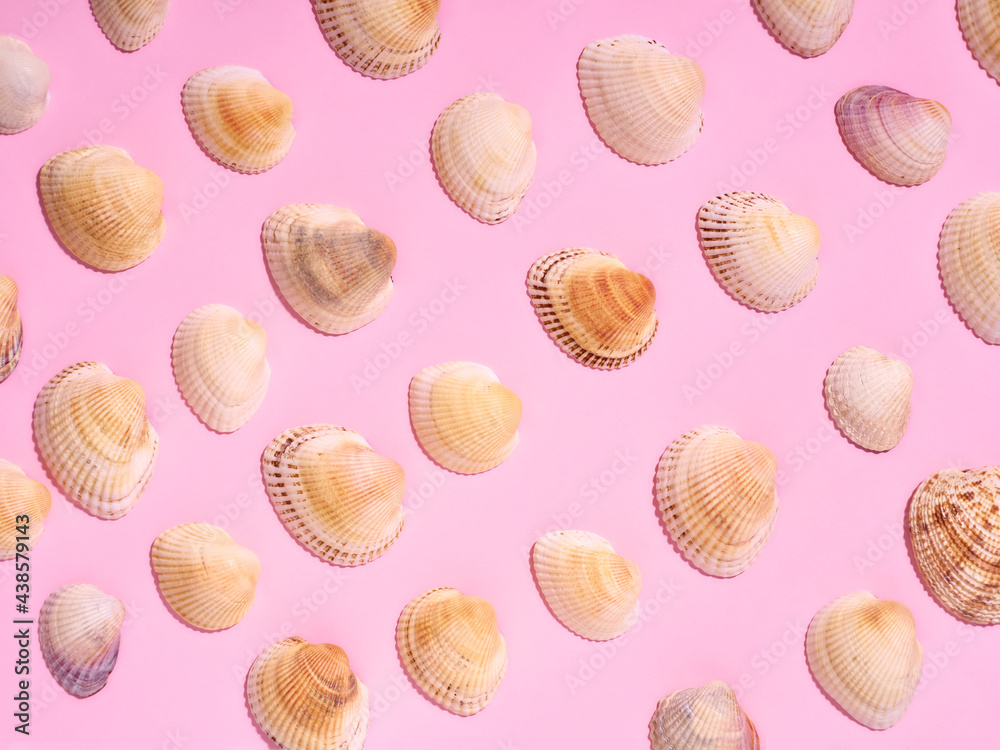 Sea shells pattern on pink background. Flat lay, top view. Sea shells pattern on pink background. Flat lay, top view.
