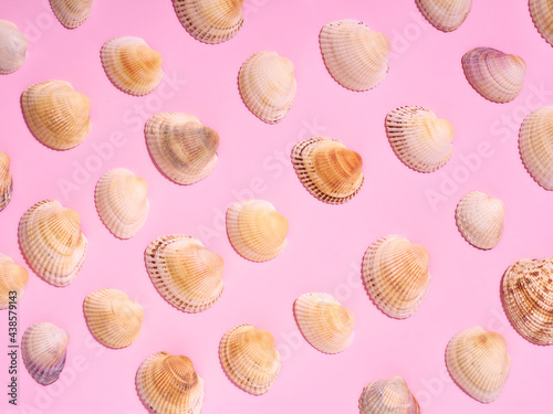 Sea shells pattern on pink background. Flat lay, top view. © Kulbabka