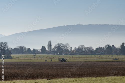 cycliste dans la campagne genevoise photo