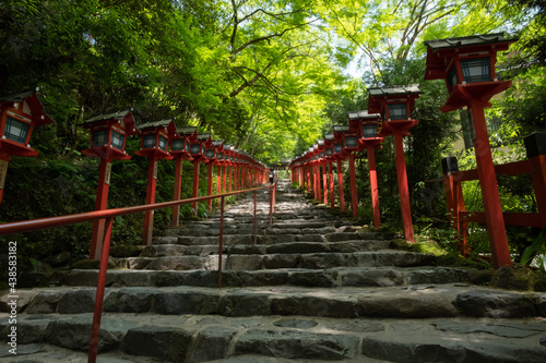 Early summer shrine   Kyoto   Japan