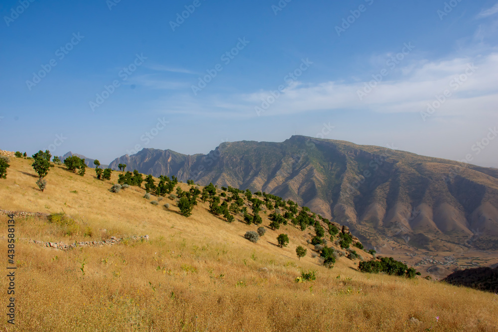 Fototapeta premium landscape with sky