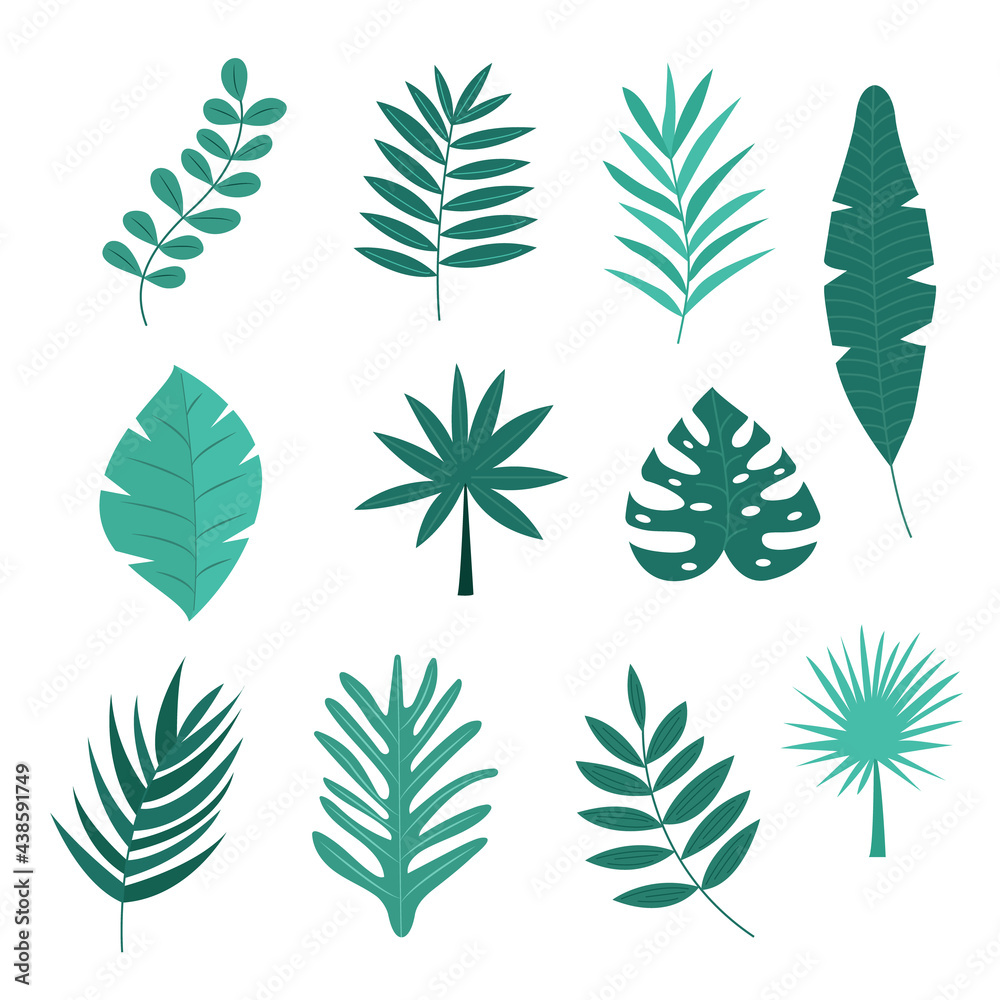 Vector set of tropical leaves.