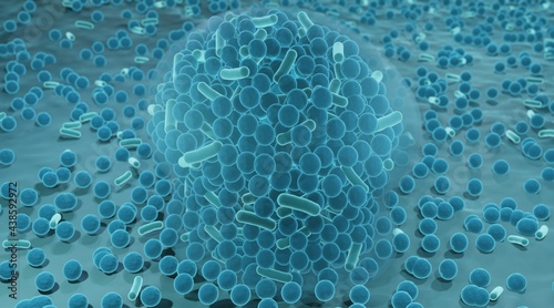 Biofilm, Antibiotic resistant bacteria inside a biofilm photo