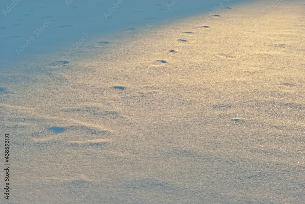 Texture of fresh snow. Footprint from the sole on fresh snow. Yellow sunlight on the snow. Sunset in winter. Texture of fresh snow. Footprint from the sole on fresh snow. Yellow sunlight on the snow. Sunset in winter.