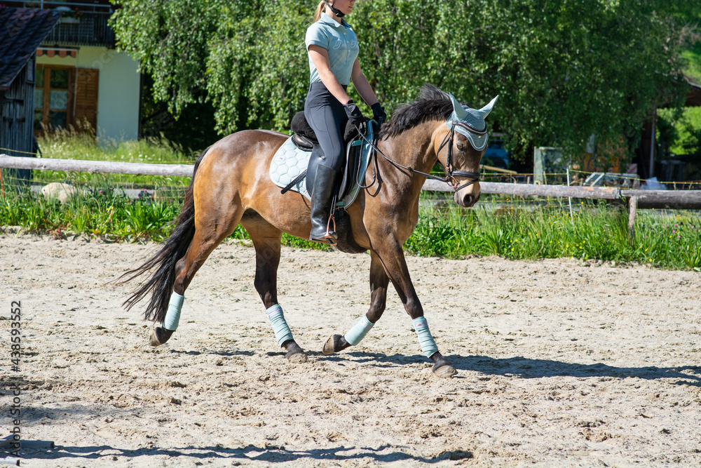reiten reiten