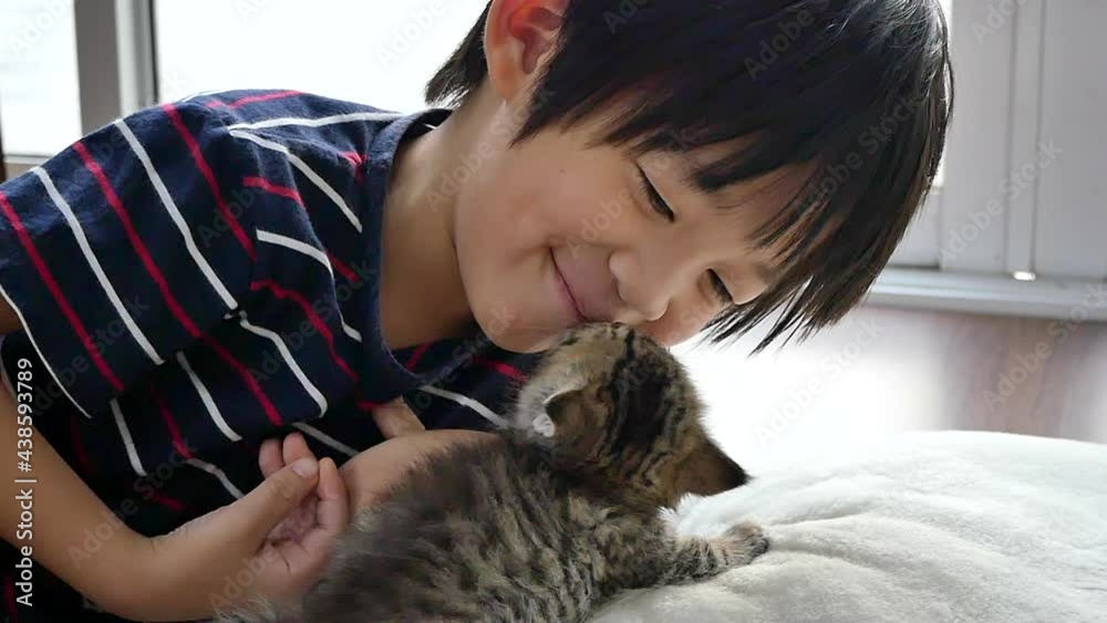Cute Asian Child Playing With Short Hair Kitten Cute Asian Child Playing With Short Hair Kitten