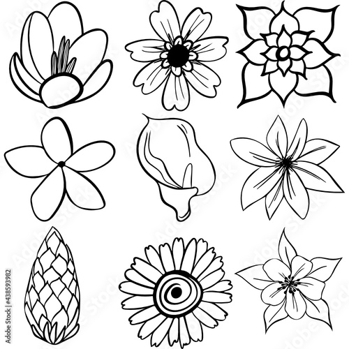 set of flowers