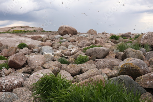 rocks in the mountains