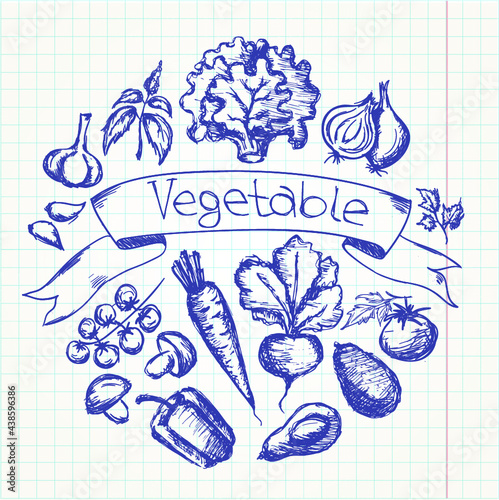 Hand drawn vegetable set