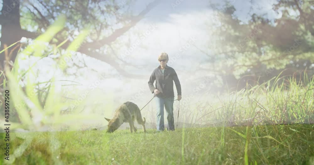 Animation of glowing light over senior woman walking with dog in park Animation of glowing light over senior woman walking with dog in park