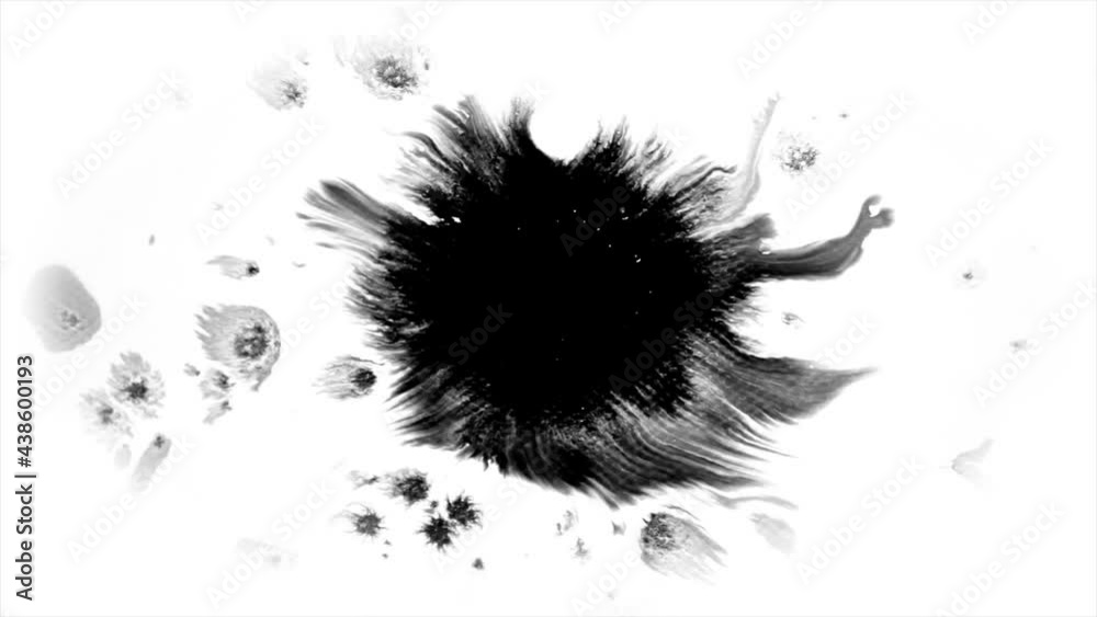 Beautiful pure black watercolor ink drops transition on white background, paint bleed, circle organic flow expanding, splatter spreading. Perfect for motion graphics, digital composition