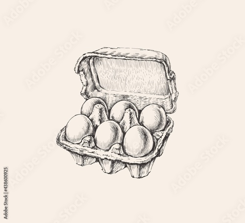 Eggs Packing Hand Drawn Illustration Isolated. Ink Drawing. Farm. Poultry farming