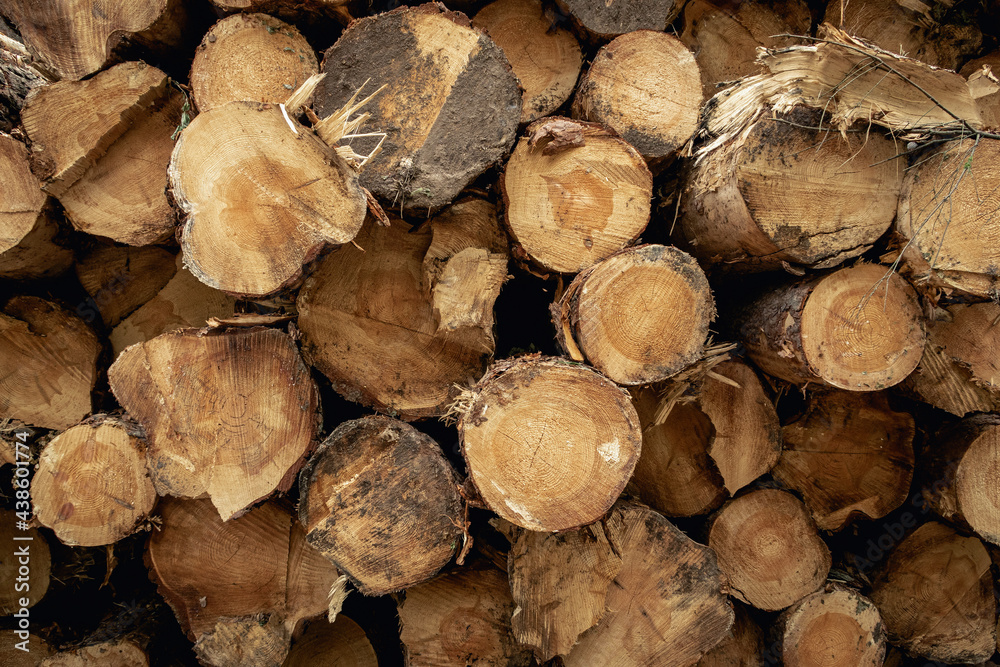 Wooden logs texture. Nature background Wooden logs texture. Nature background