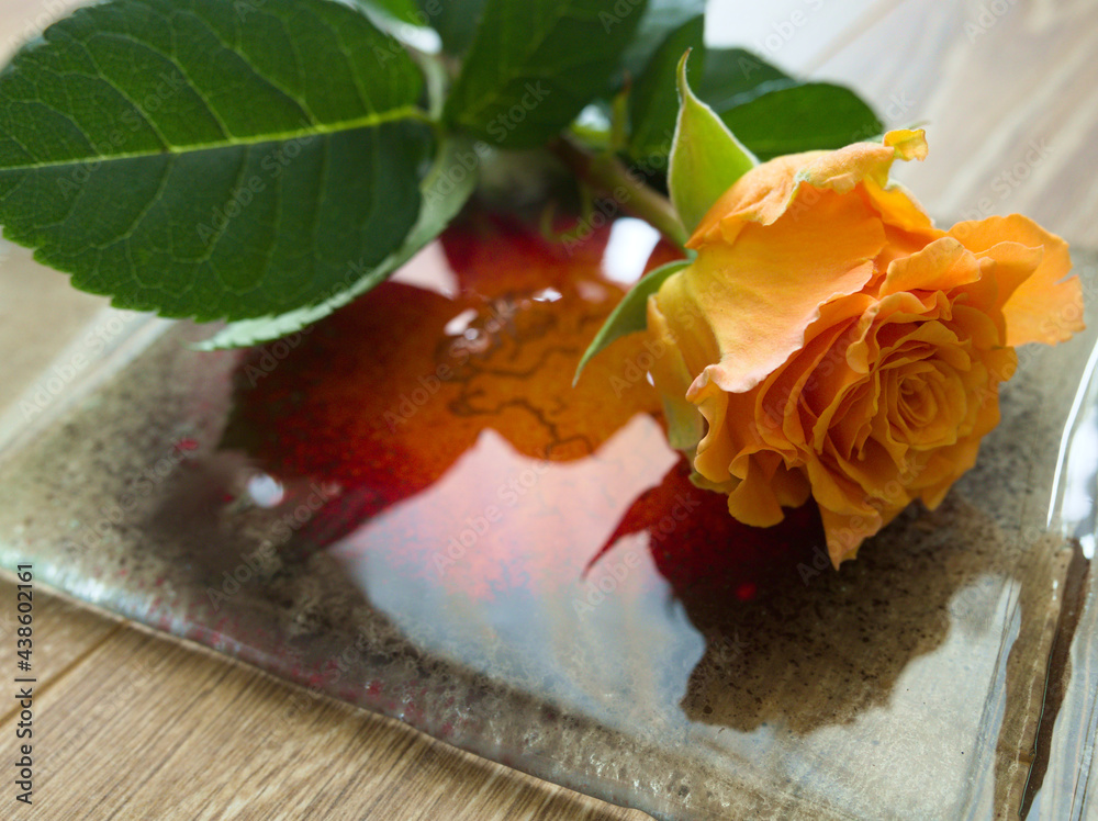Róże w kolorze herbacianym  - obrazy, fototapety, plakaty 