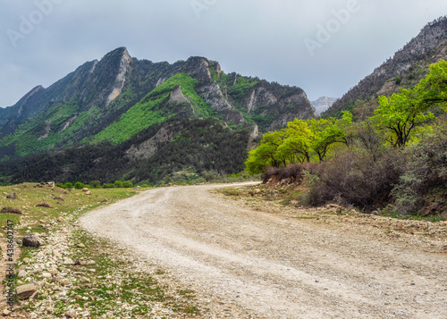 Empty dirt mountain road. Dirt road leading up into rough green mountains.