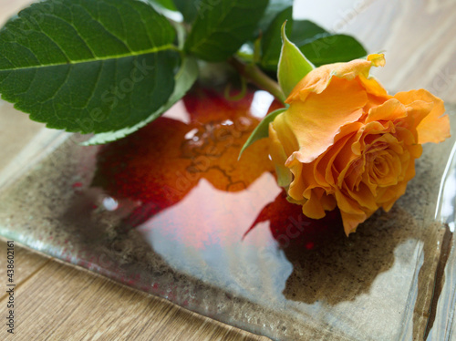 Róże w kolorze herbacianym 