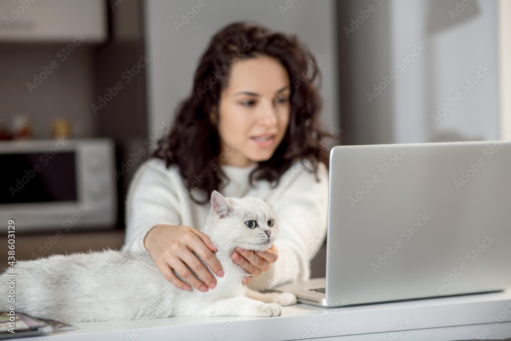 Pretty young dark-haired woman at home with her pet Pretty young dark-haired woman at home with her pet