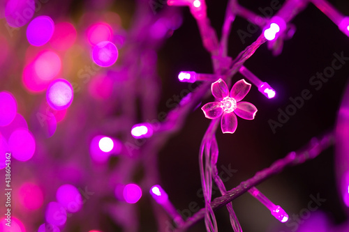 LED decorative light in shape of flower with bokeh backgroud in Christmas and New Year Festival