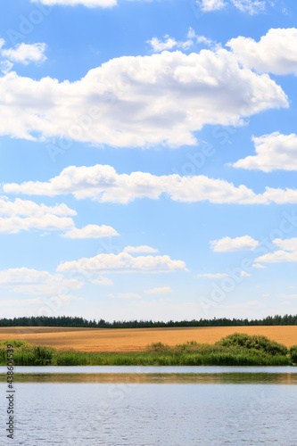 Rest on the shore of a calm reservoir of a pond of a river lake against the background of a field, horizon line and sky in summer on a sunny warm day in good weather