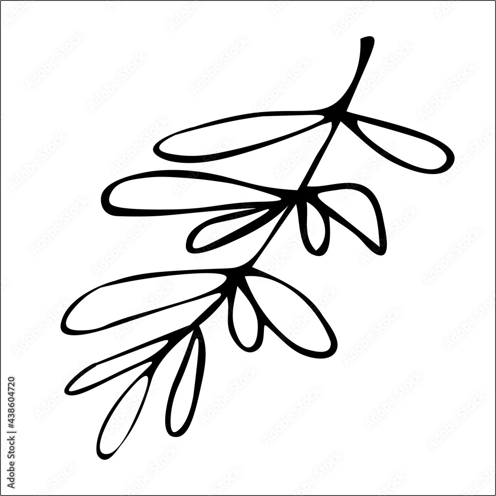 Cute hand drawn herbal elements. Decorative, botanical twig. Doodle for social media story. Black and white vector illustrations for holiday designs, wedding invitations, logo and greeting cards.