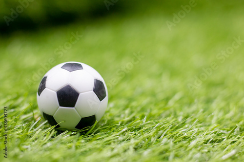 Soccer ball is on green grass © thaninee