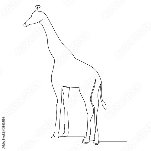 giraffe drawing one continuous line isolated