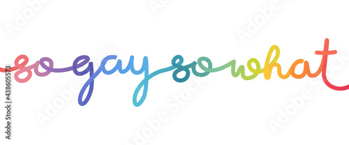 So gay so what sentence in rainbow colors