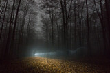 Shadow of man walking on path through foggy winter night forest
